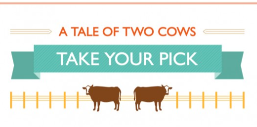 A Tale of Two Cows